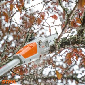 STIHL HTA 50 Батериска пила за високи гранки сет